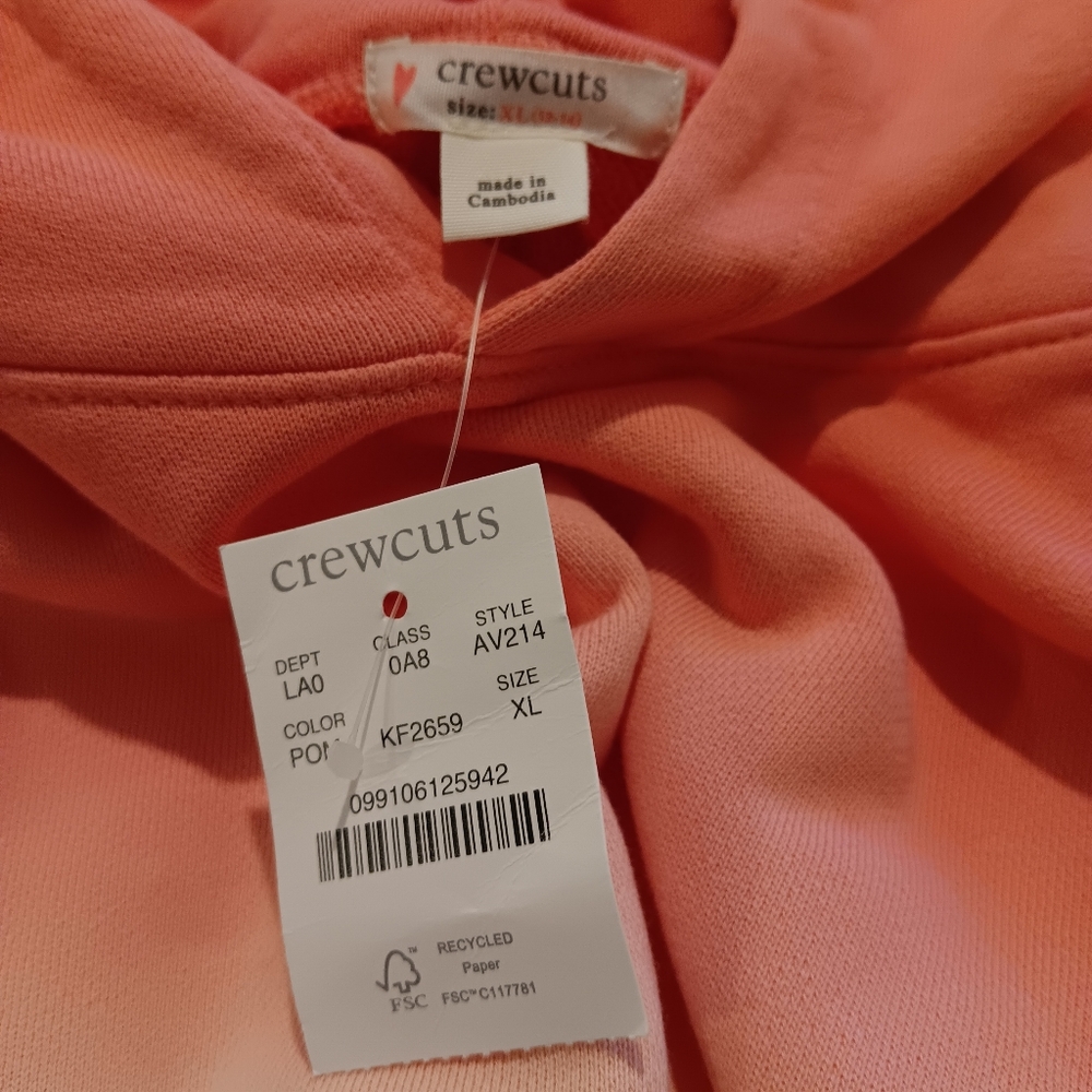NWT JCrew Girls' french terry hoodie in ombré